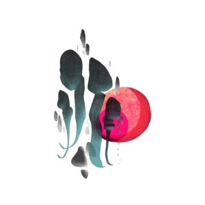 2025년 디아스포라의 목소리들